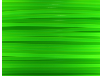 FLASHFORGE Filament PLA transparent Green 1.75mm 500g